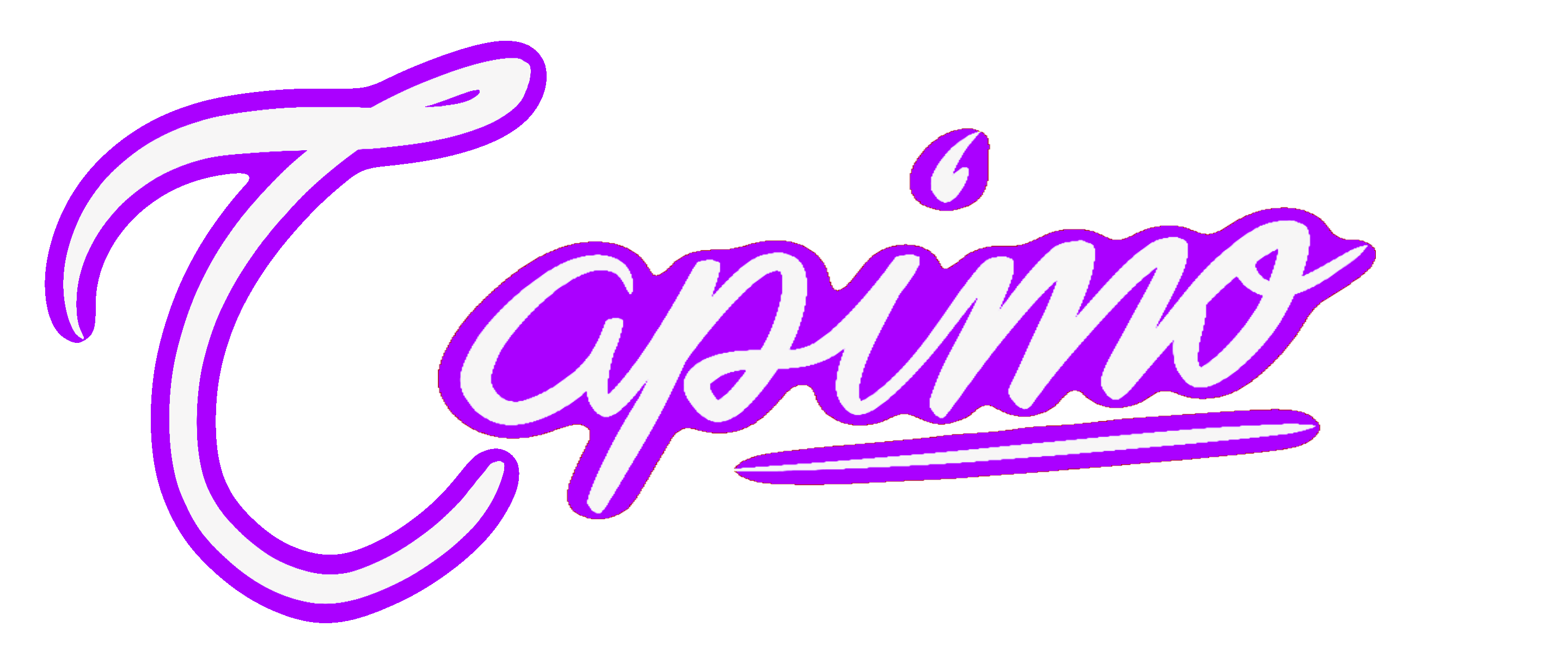 Capimo Logo